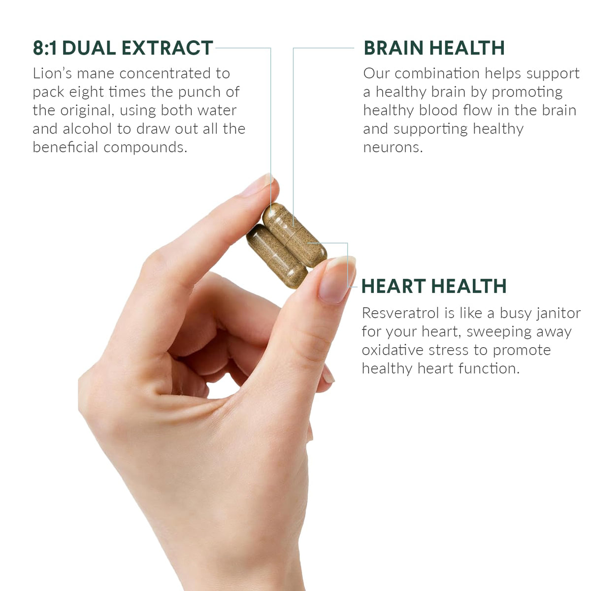 Détail des capsules de champignon Hericium Nutritional Roots dans le flacon
