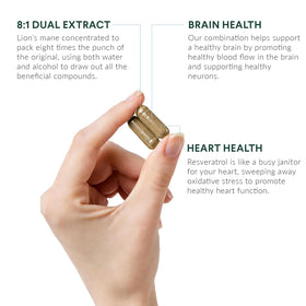 Détail des capsules de champignon Hericium Nutritional Roots dans le flacon