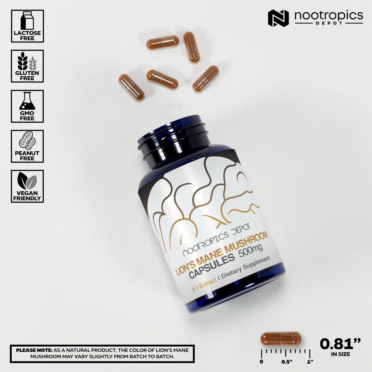 Détail des capsules de Champignon Lion's Mane 500mg