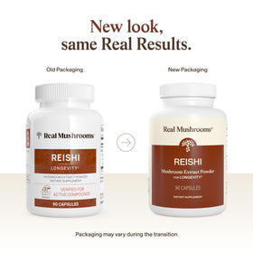 Détail des capsules de champignon Reishi bio, couleur beige