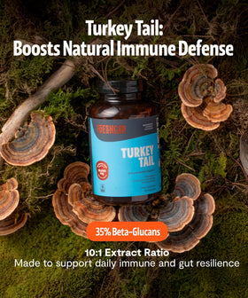 Détail des capsules de champignon Turkey Tail FreshCap sur une surface en bois