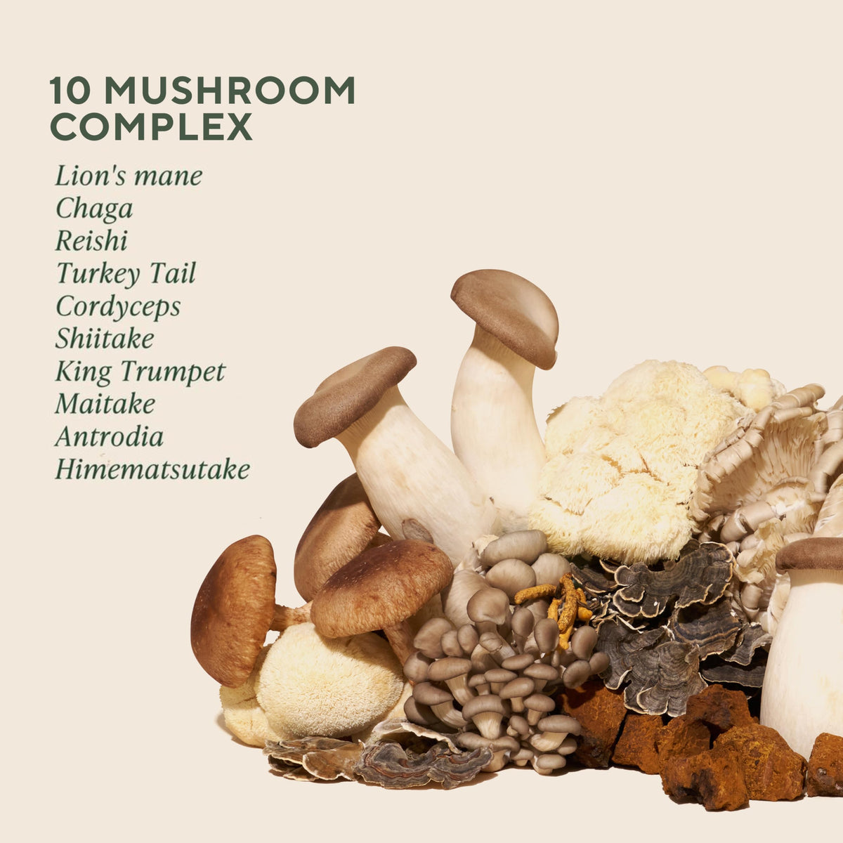 Détail des capsules de champignons OM MUSHROOM SUPERFOOD