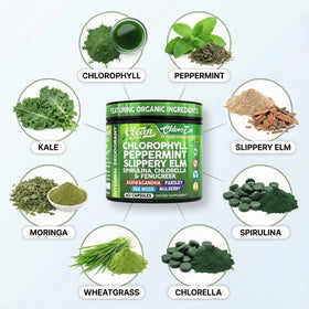 Détail des capsules de chlorophylle avec menthe poivrée