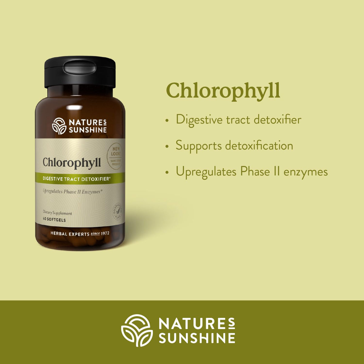 Détail des capsules de chlorophylle Nature's Sunshine