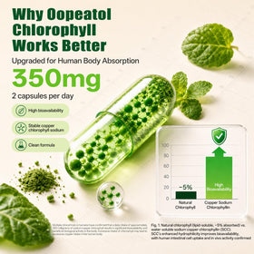 Détail des capsules de chlorophylle Oopeatol