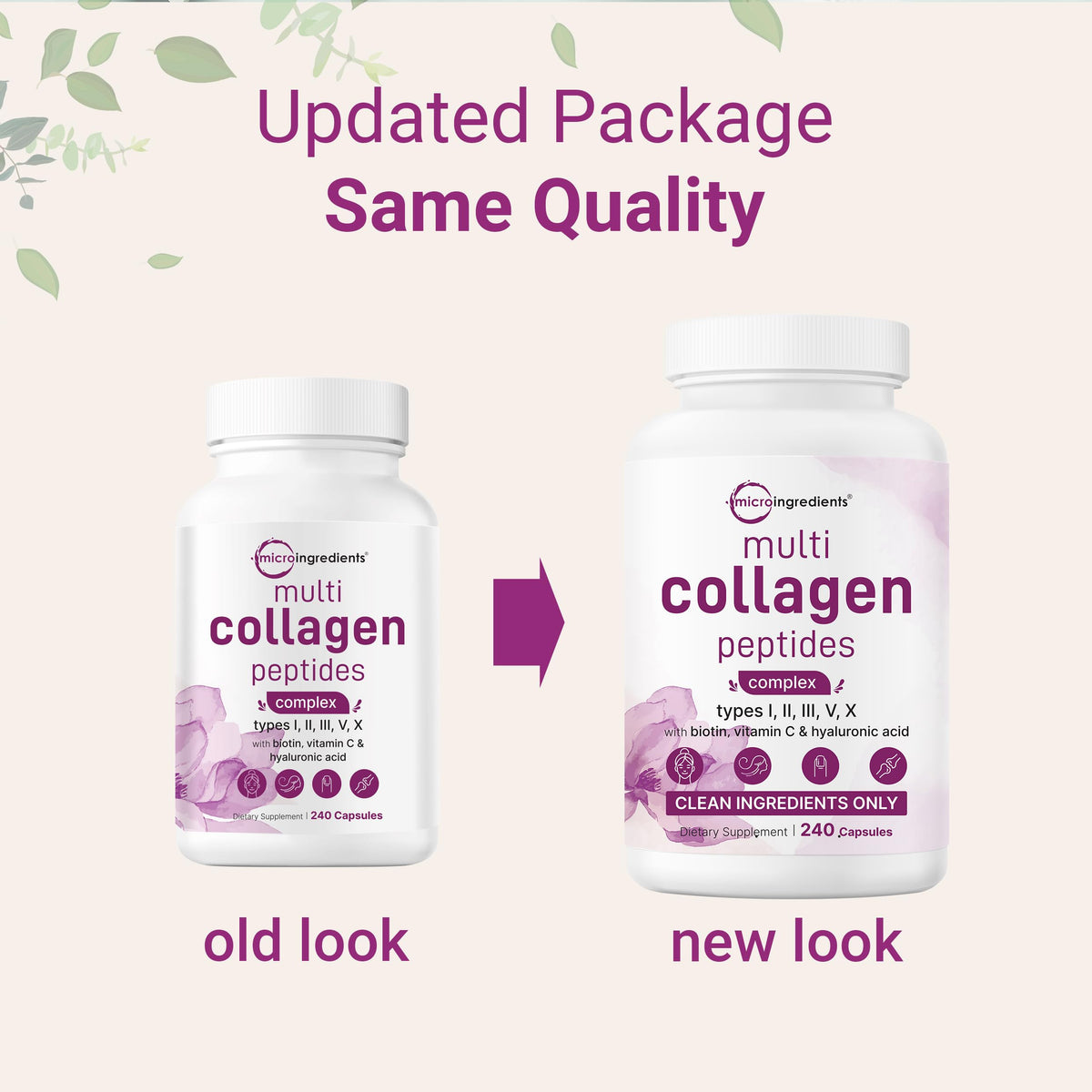 Détail des capsules de collagène Micro Ingredients