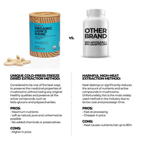 Détail des capsules de complément alimentaire Champignon Hericium