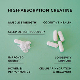 Détail des capsules de créatine HCl AMANDEAN