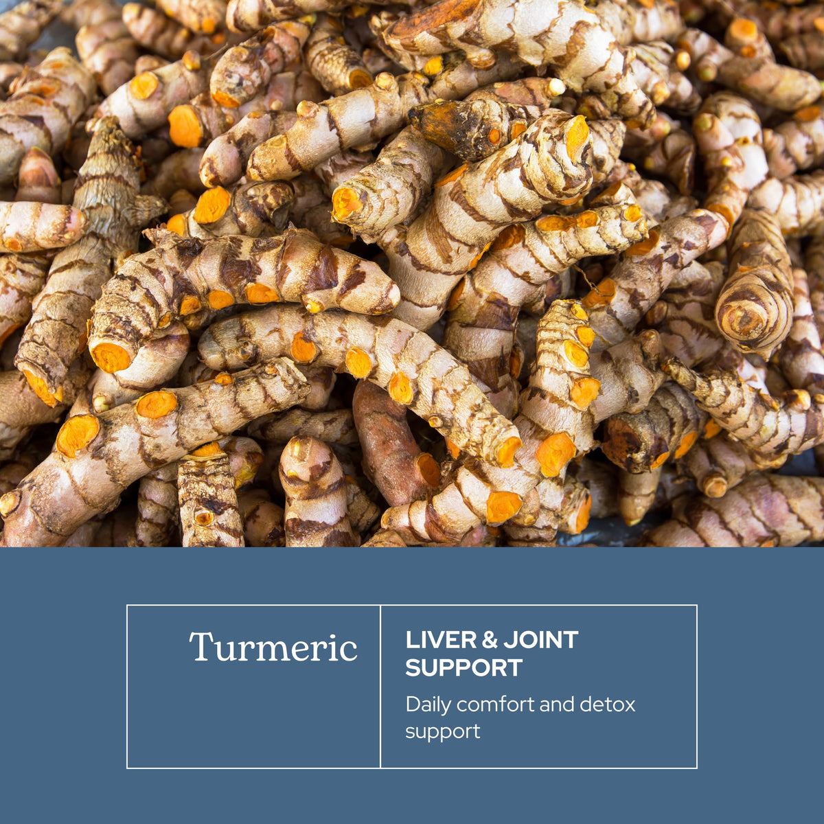 Détail des capsules de curcuma sur une surface en bois