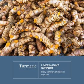 Détail des capsules de curcuma sur une surface en bois