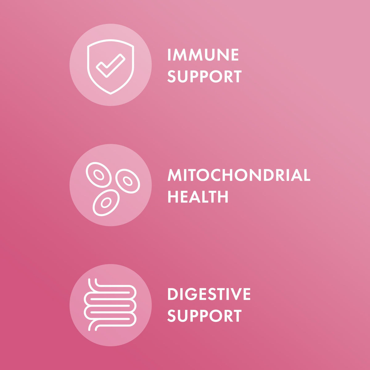 Détail des capsules de Dr. Mercola Enzymes Complètes pour Femmes