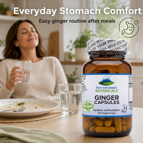 Détail des capsules de gingembre bio avec étiquette visible