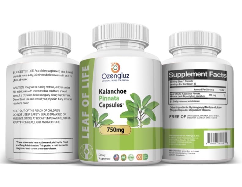 Détail des capsules de Kalanchoe Pinnata dans la bouteille