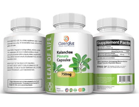 Détail des capsules de Kalanchoe Pinnata dans la bouteille