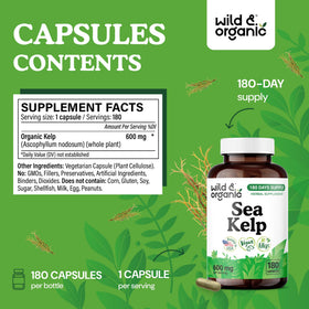 Détail des capsules de kelp marin Wild & Organic, vue de près