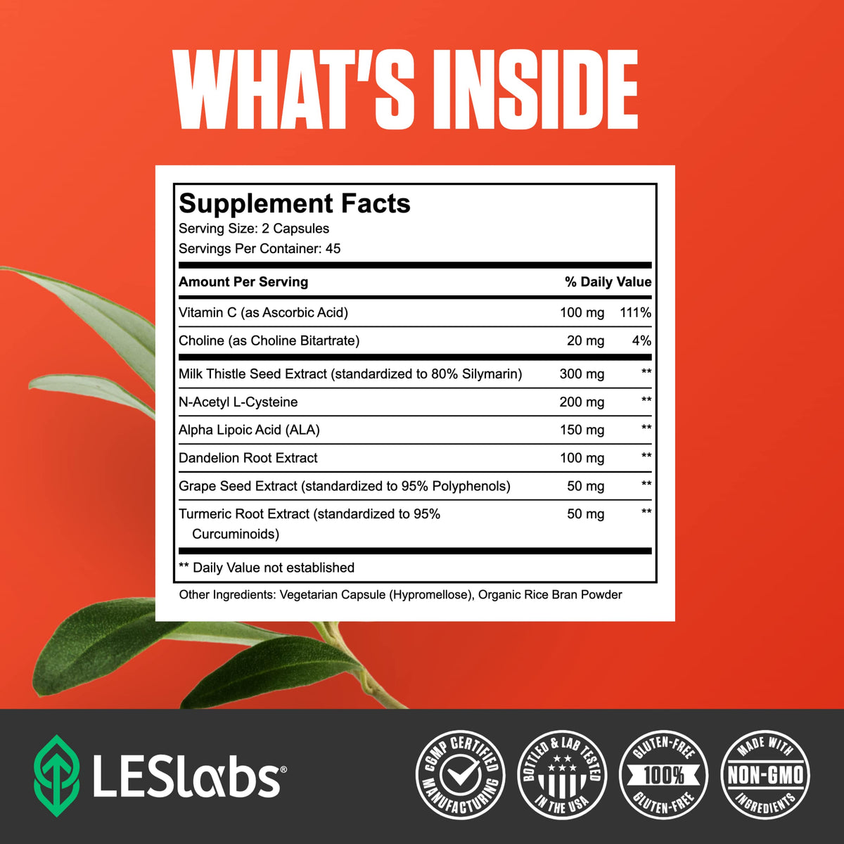 Détail des capsules de LES Labs pour soutien hépatique