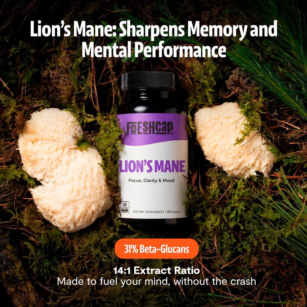 Détail des capsules de Lion's Mane FreshCap