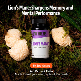 Détail des capsules de Lion's Mane FreshCap