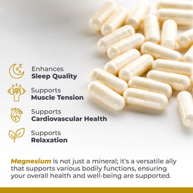 Détail des capsules de magnésium glycinate Premier Research Labs