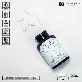Détail des capsules de magnésium MicroMag de Nootropics Depot