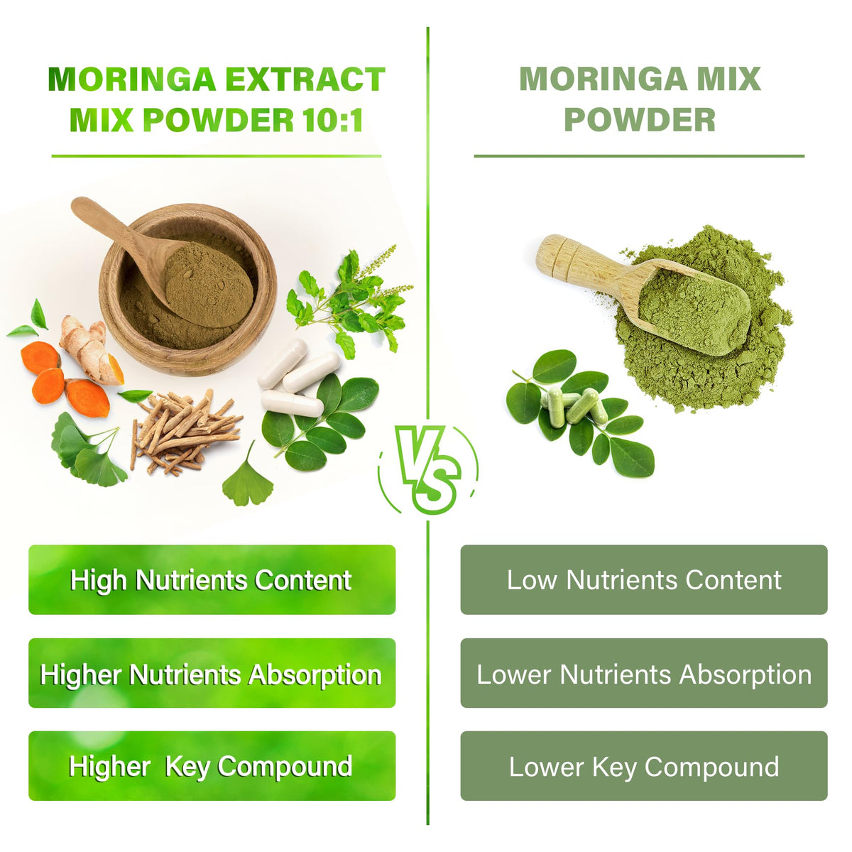 Détail des capsules de Moringa FitVitality