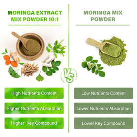 Détail des capsules de Moringa FitVitality