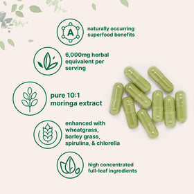 Détail des capsules de Moringa Oleifera Micro Ingredients