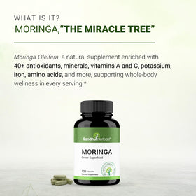 Détail des capsules de Moringa Pure SANDHUHERBALS