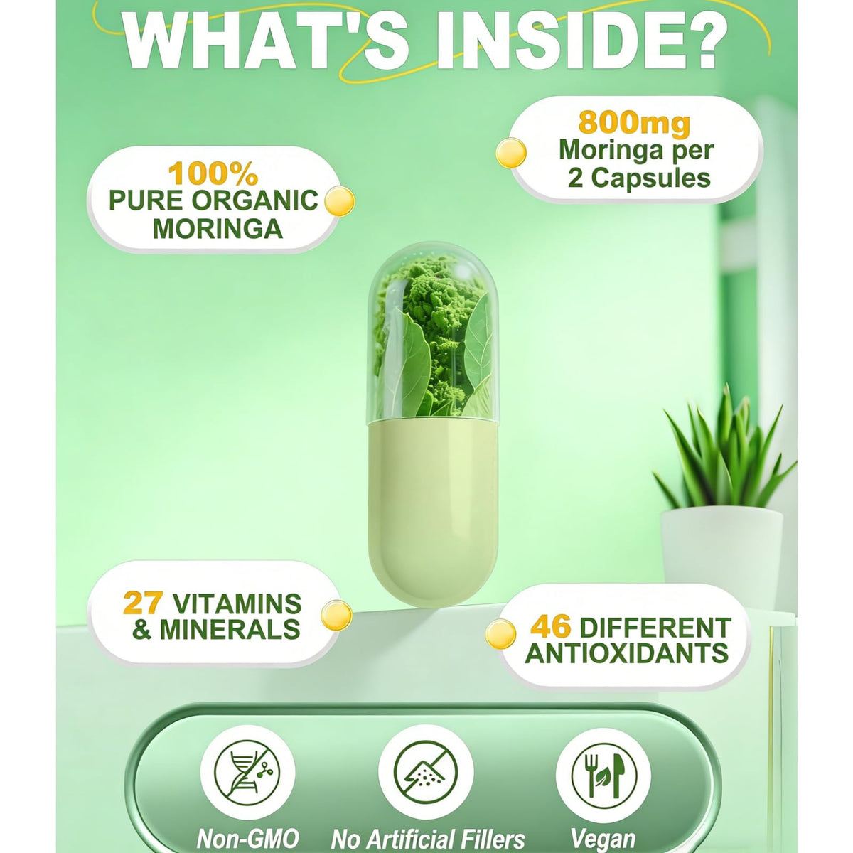 Détail des capsules de Moringa WJSFDLY
