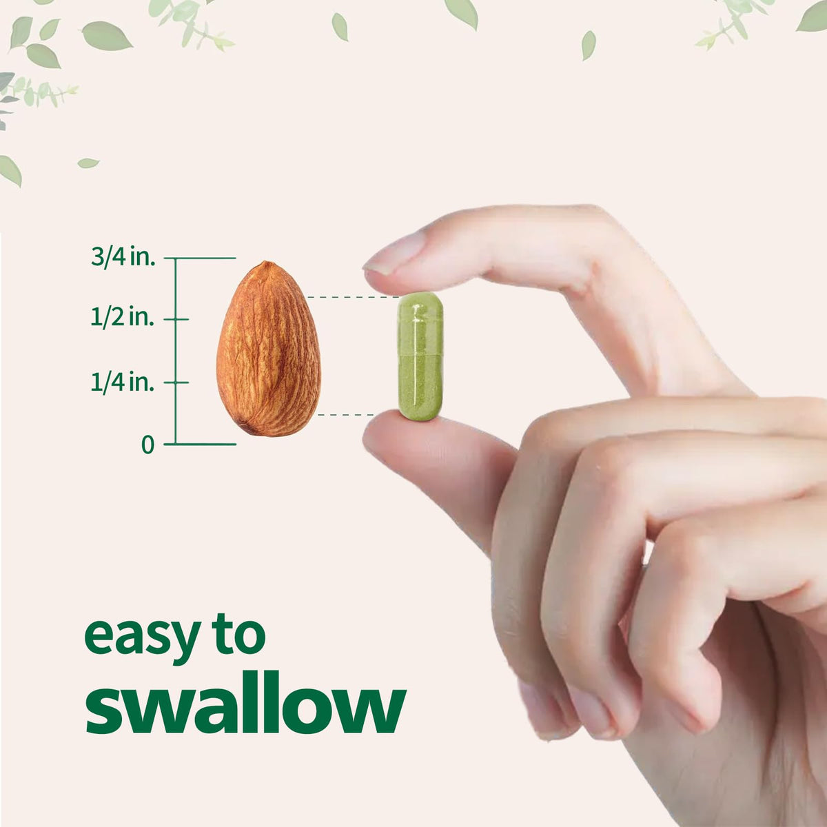 Détail des capsules de Moringa Zhibenon