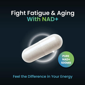 Détail des capsules de NAD+ ForestLeaf