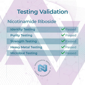 Détail des capsules de nicotinamide riboside Nootropics Depot