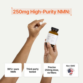 Détail des capsules de Novos NMN 250mg