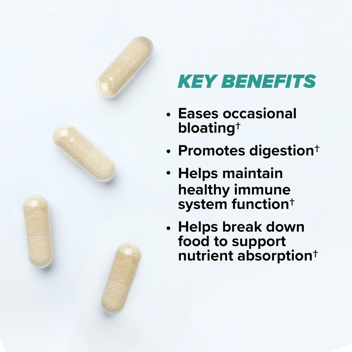 Détail des capsules de ONNIT Total a daily routine