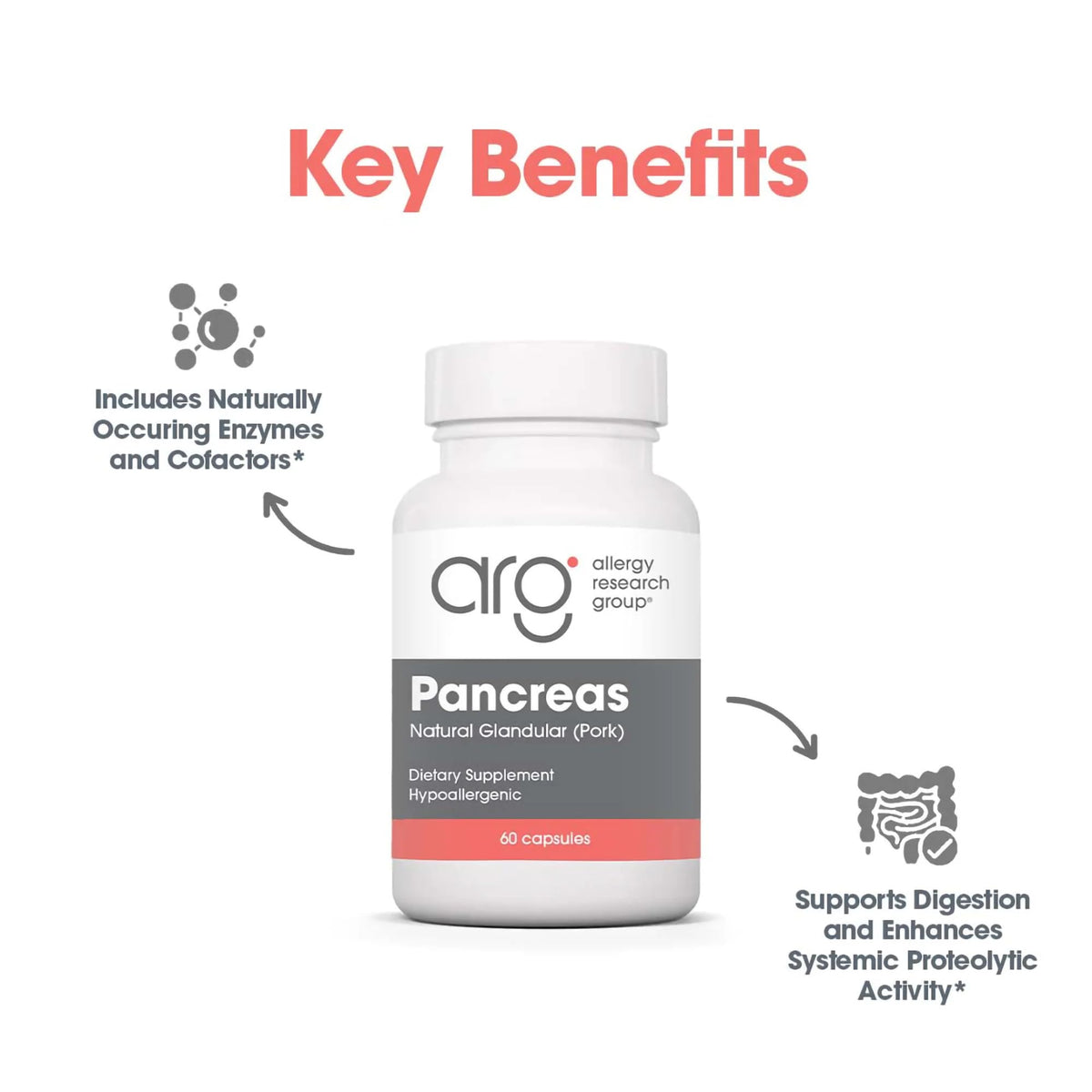 Détail des capsules de Pancreas Glandulaire 425 mg