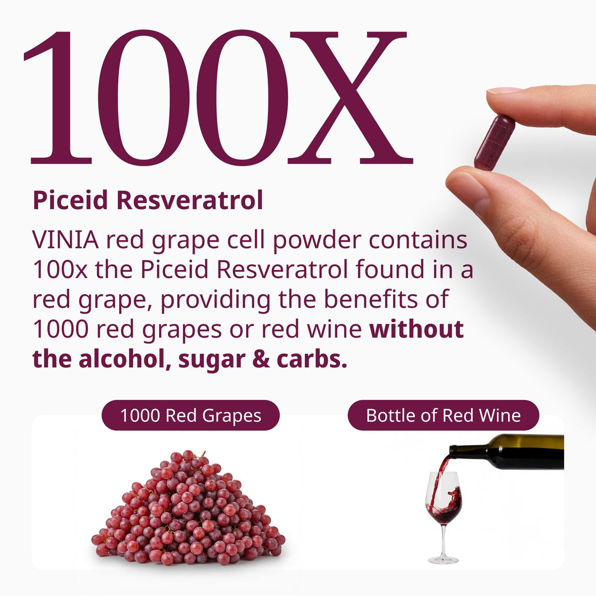 Détail des capsules de Piceid Resvératrol VINIA