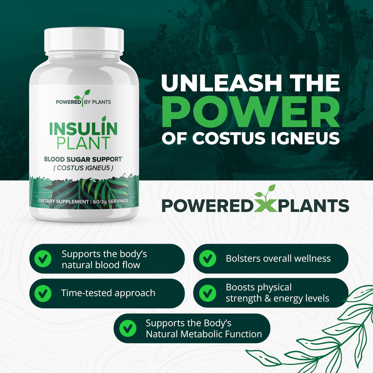 Détail des capsules de plantes insuline 3000mg Research Biotech Group
