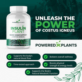 Détail des capsules de plantes insuline 3000mg Research Biotech Group