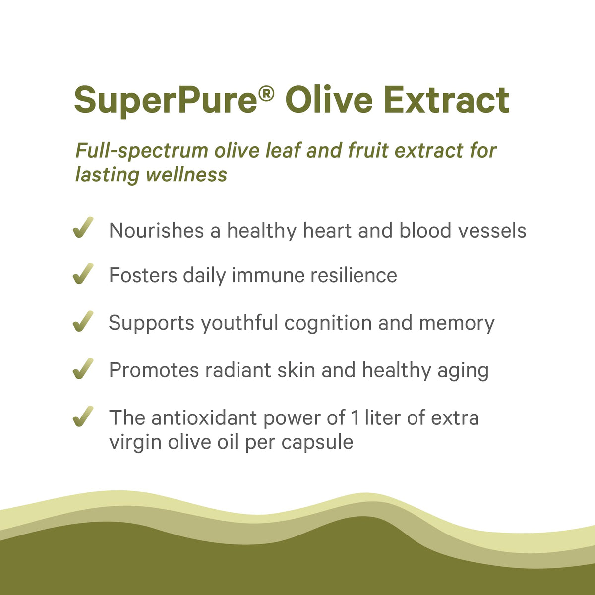 Détail des capsules de PURE SYNERGY Extrait d'Olive