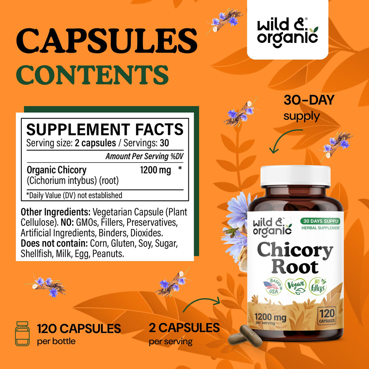 Détail des capsules de racine de chicorée Wild & Organic