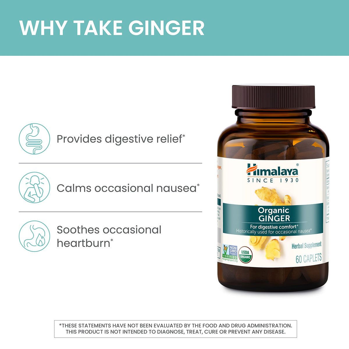 Détail des Capsules de Racine de Gingembre Bio Himalaya