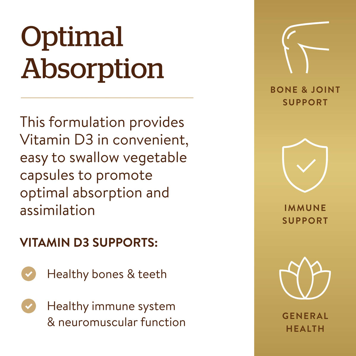 Détail des capsules de Solgar Vitamine D3 125 MCG