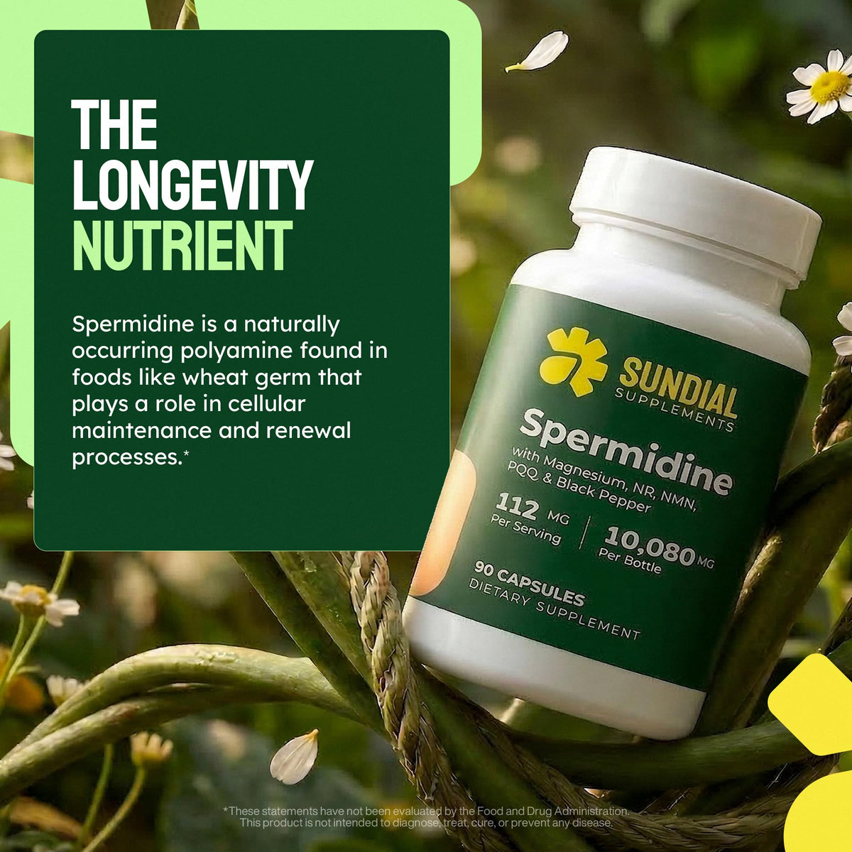 Détail des capsules de Spermidine 12mg SUNDIAL SUPPLEMENTS