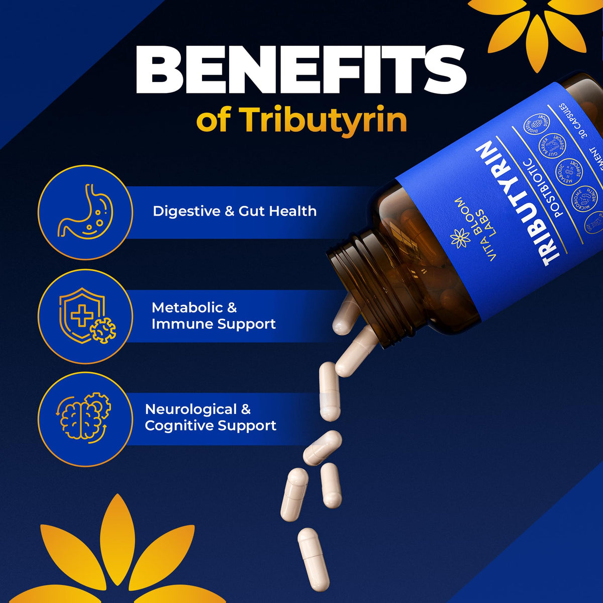 Détail des capsules de Tributyrin de Vita Bloom Labs