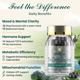 Détail des capsules de TriDexThyro Meliorantheris 375 mg