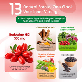 Détail des capsules de VITAL HERBAL Liposomal Berberine