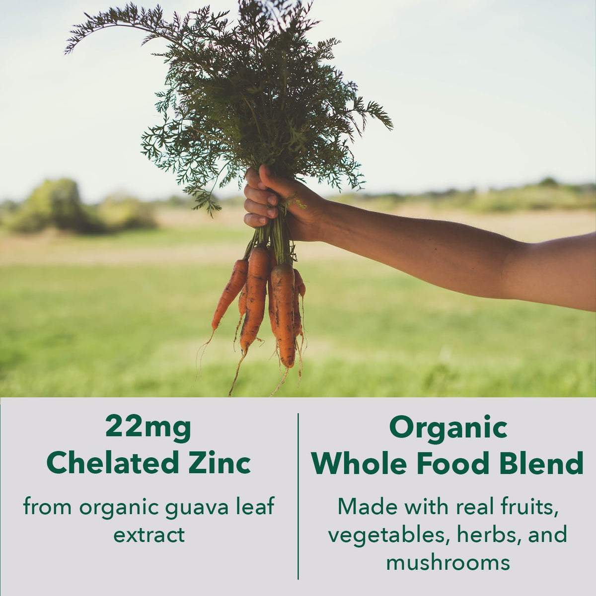 Détail des capsules de zinc chélaté PlantFusion