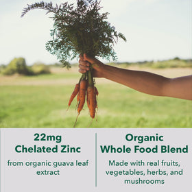 Détail des capsules de zinc chélaté PlantFusion