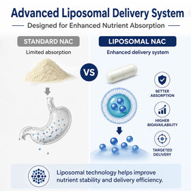 Détail des capsules Halpilt NAC Liposomique