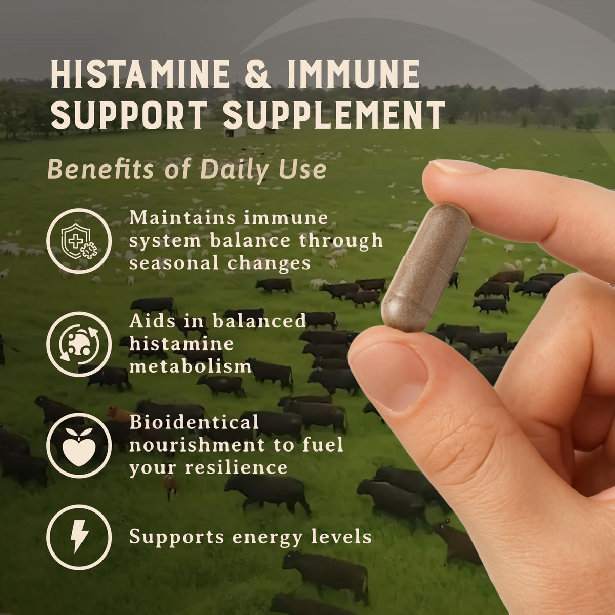Détail des capsules HEART & SOIL Complément Alimentaire Histamine sur une table